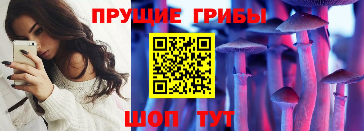 Псилоцибиновые грибы мицелий  Вход с VPN  Гусиноозёрск 